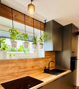 Apartament Sweet Garden