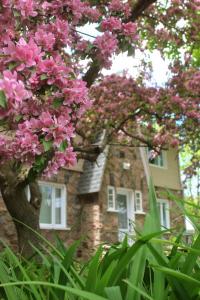 Rester Vivant Chambres d'hôtes