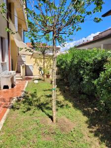 Giulianas house by the sea in Tuscany