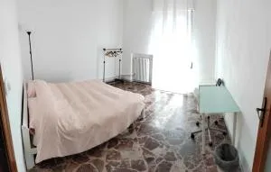 White house - 巴勒瑟