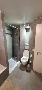 New flat in Randogne Crans-Montana with view