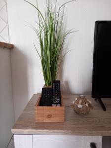 Appartements Appartement a deux pas du Port : photos des chambres