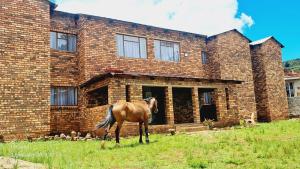 Matibidi Guest Lodge