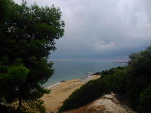 Red Coral Apartments