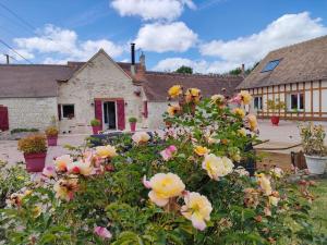 Maisons d'hotes les Lys Jolie suite parentale privative deux adultes avec sdd : photos des chambres