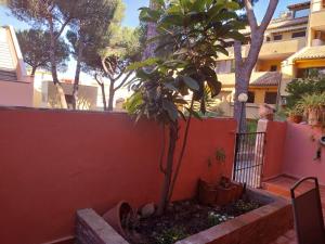 LA Pavoncella img26
