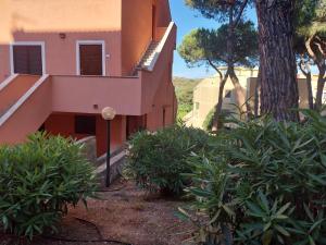 LA Pavoncella img25
