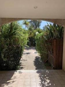 1 Bed Antibes les pins with Pool