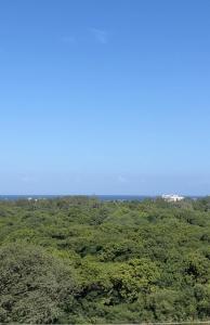 Haller Park Apartments Pacific Bamburi