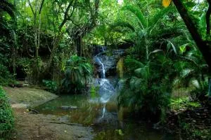 Adventurers Inn - Mon Repos