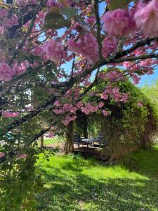 Maisons de vacances La Colline de Tilleul - Les Tilleuls - 4 STAR RATED - stunning cottage with pool near Aubeterre in idyllic location : photos des chambres