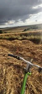 Dom na wsi z dużym ogrodem - Krzywcza