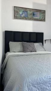 Casa de huéspedes Maturin 3 hab