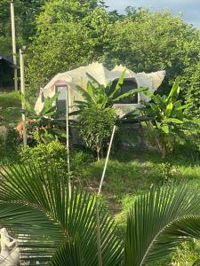 GLAMPING CARACOL-MUSEO DE MARAVILLAS DE LA VIDA MARINA, Basado en la vida del Mar