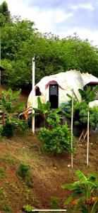 GLAMPING CARACOL-MUSEO DE MARAVILLAS DE LA VIDA MARINA, Basado en la vida del Mar