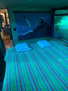 Tentes de luxe Woody Wood Bus : photos des chambres