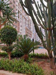 Studio prestige Islan agadir