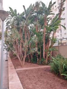 Studio prestige Islan agadir