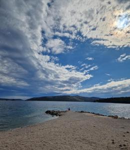 Olive by Villa Bright Bliss