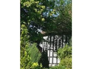 Rosi Comfortable holiday residence - Godendorf