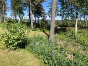 Pure relaxation in Sweden