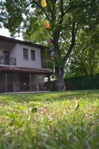 Kırkpınar Sapanca Villa cevizli