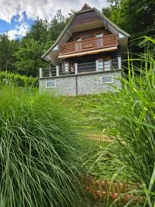 Onkel Willis Hütte - Dröschitz