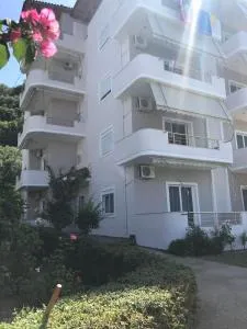 Hermes Borsh - Shkalle Stenojt