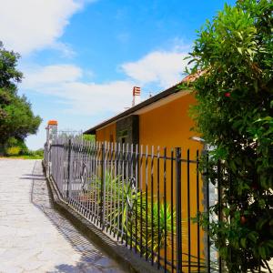 Vista mare tra gli ulivi