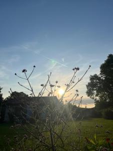 Maisons de vacances La Colline de Tilleul - De La Colline 4 STAR RATED - Beautiful Cottage Near Aubeterre : photos des chambres