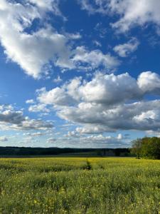 Maisons de vacances La Colline de Tilleul - De La Colline 4 STAR RATED - Beautiful Cottage Near Aubeterre : photos des chambres