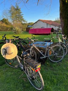 Maisons de vacances La Colline de Tilleul - De La Colline 4 STAR RATED - Beautiful Cottage Near Aubeterre : photos des chambres