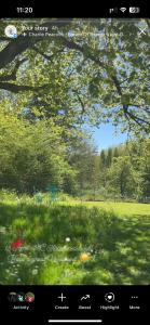 Maisons de vacances La Colline de Tilleul - De La Colline 4 STAR RATED - Beautiful Cottage Near Aubeterre : photos des chambres