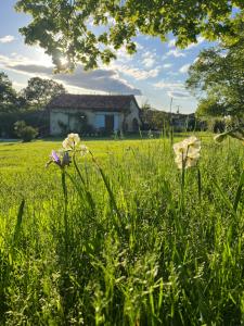 Maisons de vacances La Colline de Tilleul - De La Colline 4 STAR RATED - Beautiful Cottage Near Aubeterre : Maison 1 Chambre