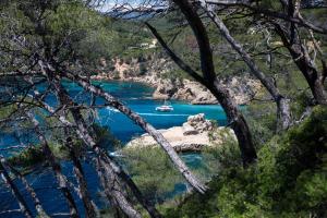 Appartements Le cocon des passons 3 pieces 70m2 : photos des chambres