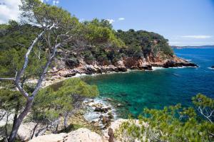 Appartements Le cocon des passons 3 pieces 70m2 : photos des chambres