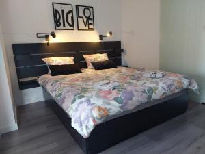Apartmans and rooms Petra 