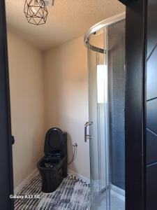 Borderline Accomodation