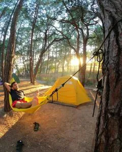 Mənzərə Piknik - Altıağac