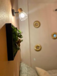 Magnifique Appartement Avignon Intra-Muros