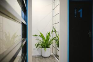 Summer House Brisbane