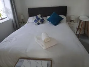 The Coach Studio - 桑德维奇