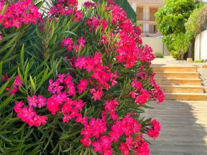 Duplex Apartment with sea view