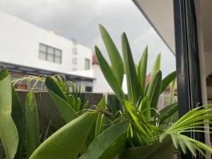 Stylish Digital Nomad Villa with Ensuite Workspaces