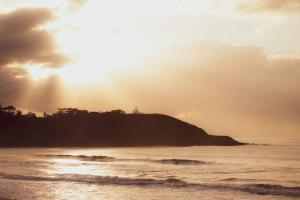 The Mook on Mollymook Beach