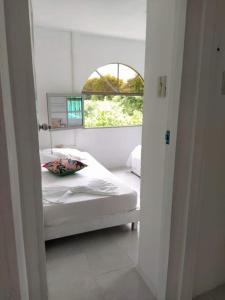 San Jose de los Acuarios