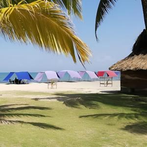 San Jose de los Acuarios