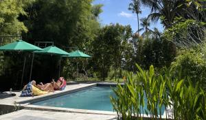 Pedidi Penida Hostel