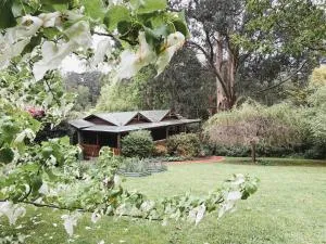 Botanica Retreat - Monbulk