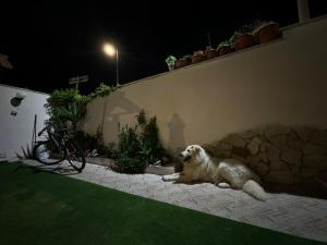 Holiday Rome Hub Villa Camilla